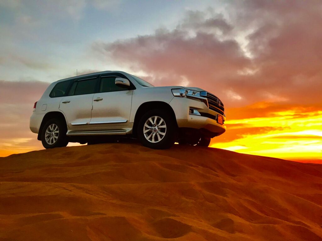 Morning Desert Safari