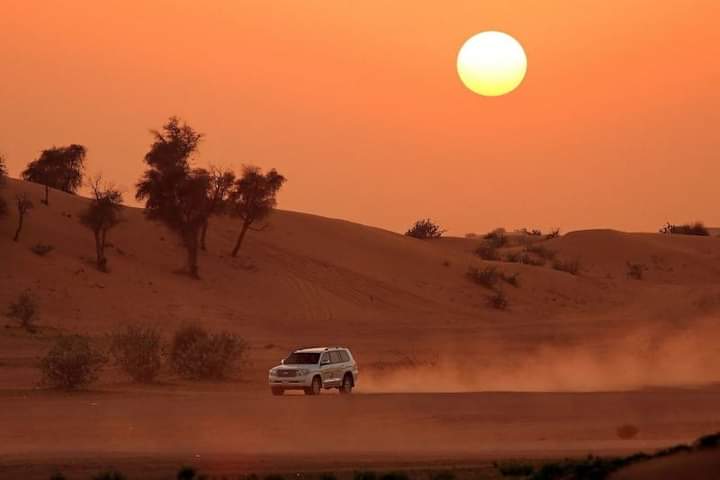 desert safaris Dubai