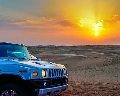 best Evening Hummer safari